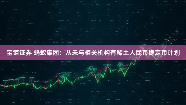 宝钜证券 蚂蚁集团：从未与相关机构有稀土人民币稳定币计划