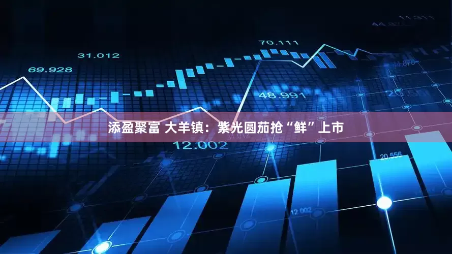 添盈聚富 大羊镇：紫光圆茄抢“鲜”上市